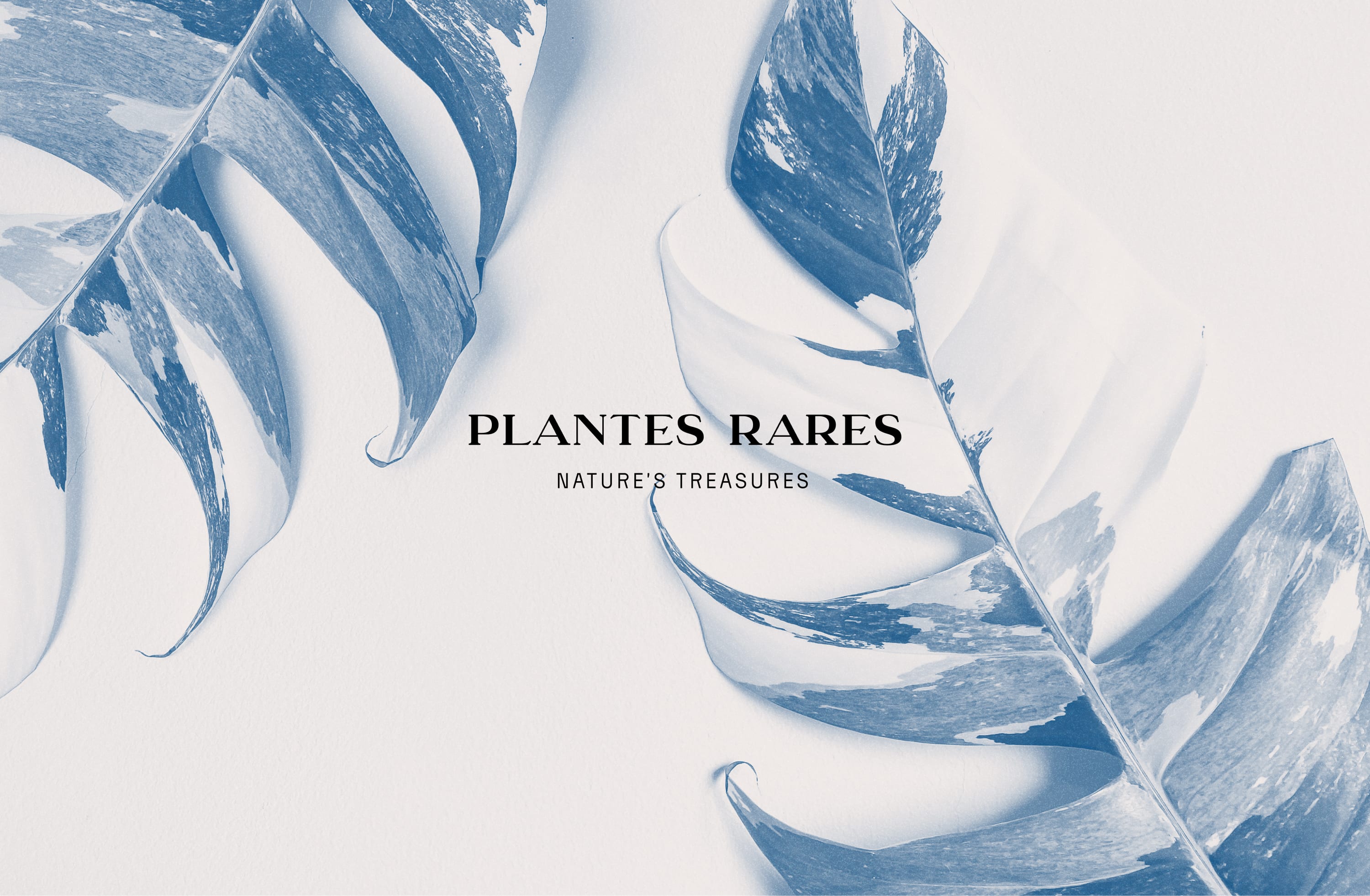Plantes Rares